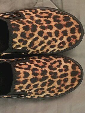 Cheetah vans